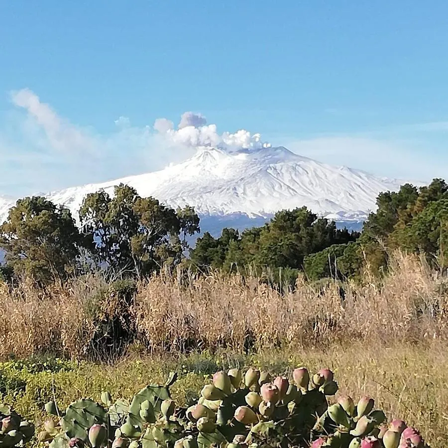 Casa Donna Rosaria Tra Etna E Taormina Apartment Riposto